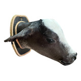 Decoracao De Parede Country