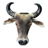 Decoracao De Parede Country