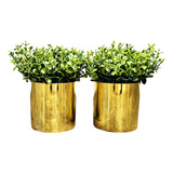 Decoração Sala Rack Kit 2 Vasinhos Com Planta Montado Cor Dourado  l 