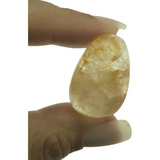 Dendrita 58 500 Cts