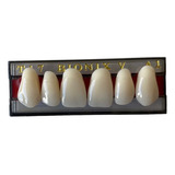Dente Acrilico Natural Superior