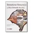 Desastres Naturais No Rio Grande Do Sul, De Luiz Eduardo De Sousa Robaina. Editora Ufsm, Capa Mole Em Português