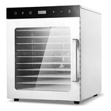 Desidratadora Industrial Profissional 10 Bandejas 700w