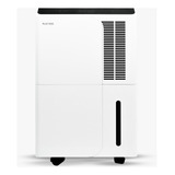 Desumidificador Eletrico Industrial Desidrat
