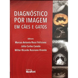 Diagnostico Por Imagens Em