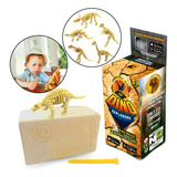 Dino Fossil Arqueologia Brinquedo