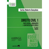 Direito Civil Vol 1