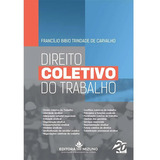 Direito Coletivo Do Trabalho, De Francílio Bibio Trindade De Carvalho., Vol. 1. Editora Mizuno, Capa Mole Em Português, 2023
