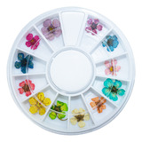 Disco Flores Secas Para