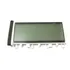 Display Lcd Teclado Casio Ctx3000 Ctx5000
