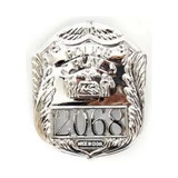 Distintivo Insignia Detetive Policial