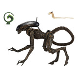 Dog Alien Neca Alienigena