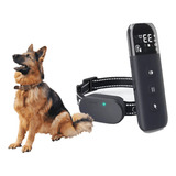 Domine O Treinamento Canino