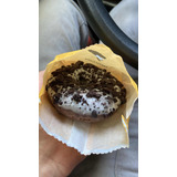 Donuts   