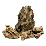Dragon Stone