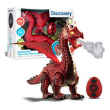 Dragon Toy Discovery Kids