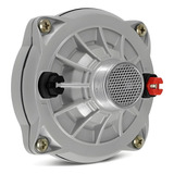Driver D250x 100w Rms