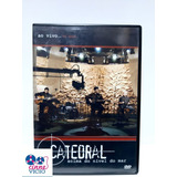 Dvd Catedral