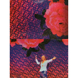 Dvd Maria