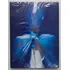 Dvd - Ney Matogrosso - ( Atento Aos Sinais Vivo ) - 2014