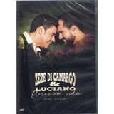 Dvd Zeze