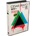 Dvd: Devoção Verdadeira A D., De Bravo, Cesar. Editorial Darkside Entretenimento Ltda  Epp, Tapa Dura En Português, 2020
