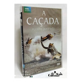 Dvd A Cacada 