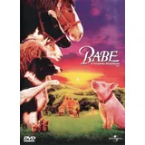 Dvd Babe O Porquinho
