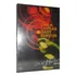 Dvd Chick Corea & Gary Burton - Live At Montreux 1997