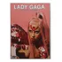Dvd Duplo Lady Gaga Collection Legendado Frete Grátis