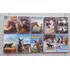 Dvd Filme Cavalos Equitacao