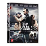 Dvd Filme Furia Cannabis