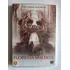 Dvd Floresta Maldita Original Lacrado