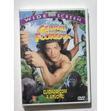 Dvd George O Rei