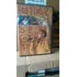 Dvd Kleber Lucas Show Ao Vivo 2002 Mk Publicita
