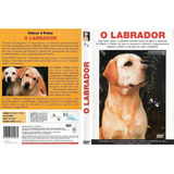Dvd Lacrado O Labrador