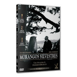Dvd Morangos Silvestres 