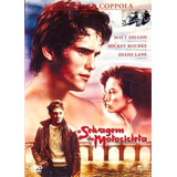 Dvd O Selvagem Da