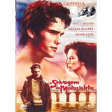 Dvd O Selvagem Da Motocicleta Matt Dillon Lacrado