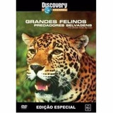 Dvd Original Do Filme Grandes Felinos - Predadores Selvagens