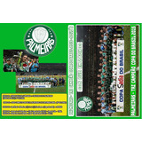 Dvd Palmeiras Campeao Tri