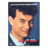 Dvd Quero Ser Grande