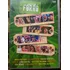 Dvd Sucessos Forró | Original