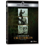 Dvd Win Wenders