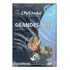 Dvdokê Da Gradiente - Grandes Hits