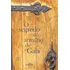 Ebook: O Segredo Do Armário De Gabi