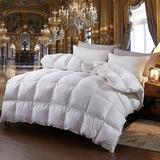 Edredom Enchimento Queen Duvet