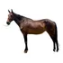 Égua Argentina Américan Trotter Trotadeira Para Charrete