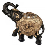 Elefante Indiano Sabedoria Sorte