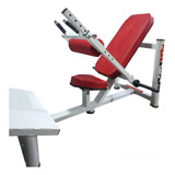 Elevacao Pelvica Japafitness Musculacao